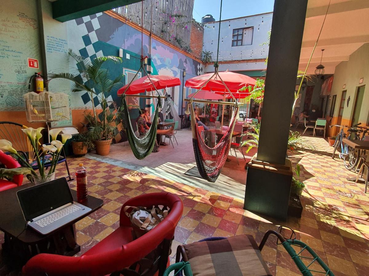 Oaxaca Hierba De Conejo Hostel מראה חיצוני תמונה