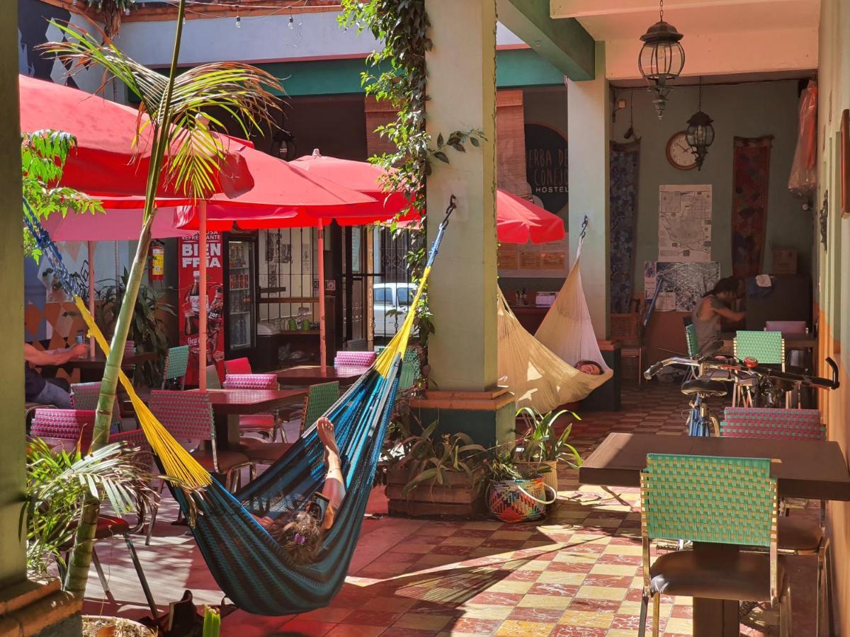 Oaxaca Hierba De Conejo Hostel מראה חיצוני תמונה
