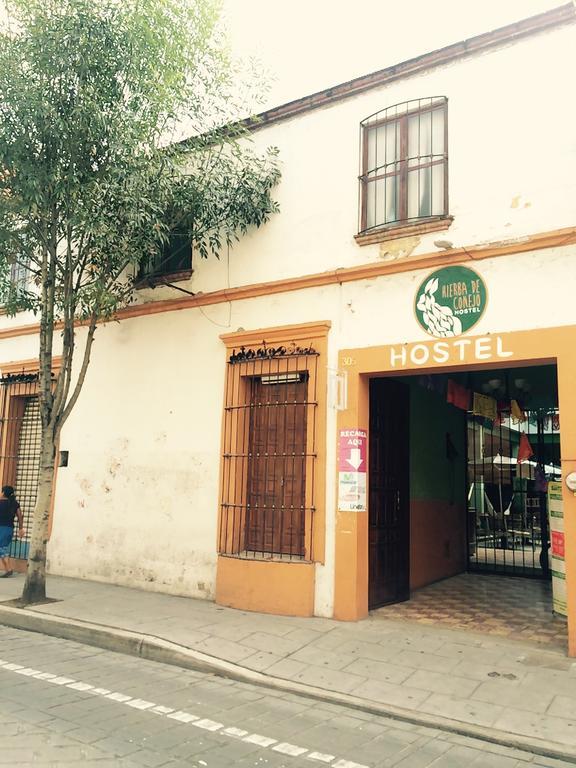 Oaxaca Hierba De Conejo Hostel מראה חיצוני תמונה