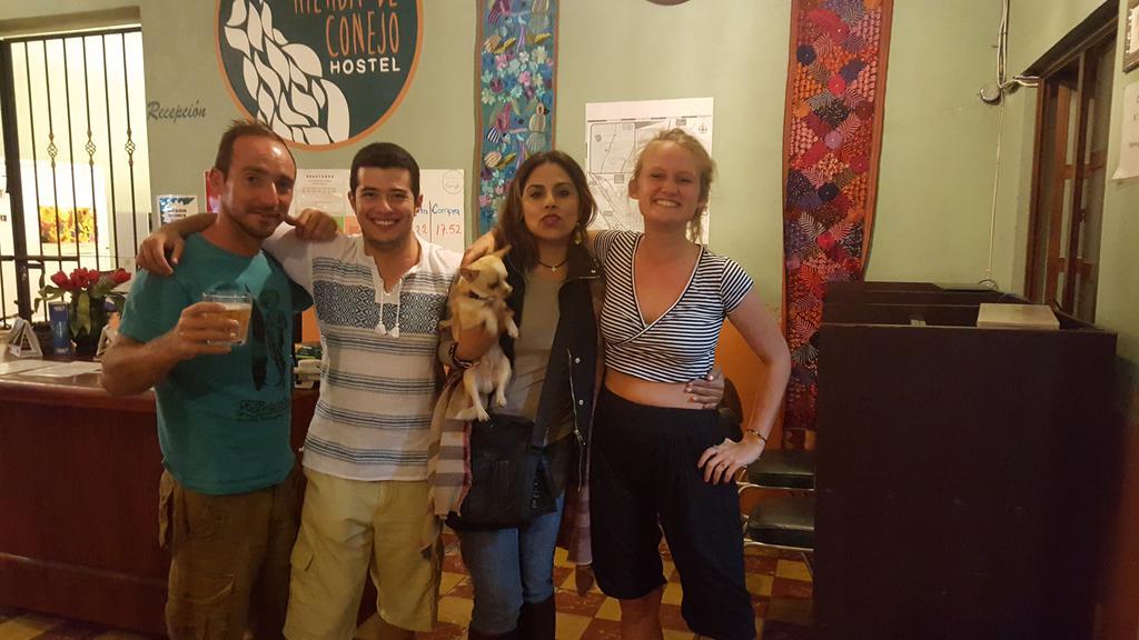 Oaxaca Hierba De Conejo Hostel מראה חיצוני תמונה