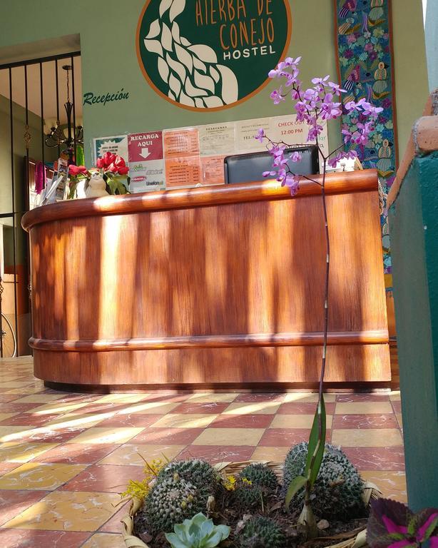 Oaxaca Hierba De Conejo Hostel מראה חיצוני תמונה