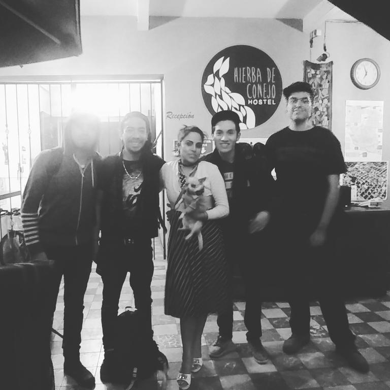 Oaxaca Hierba De Conejo Hostel מראה חיצוני תמונה